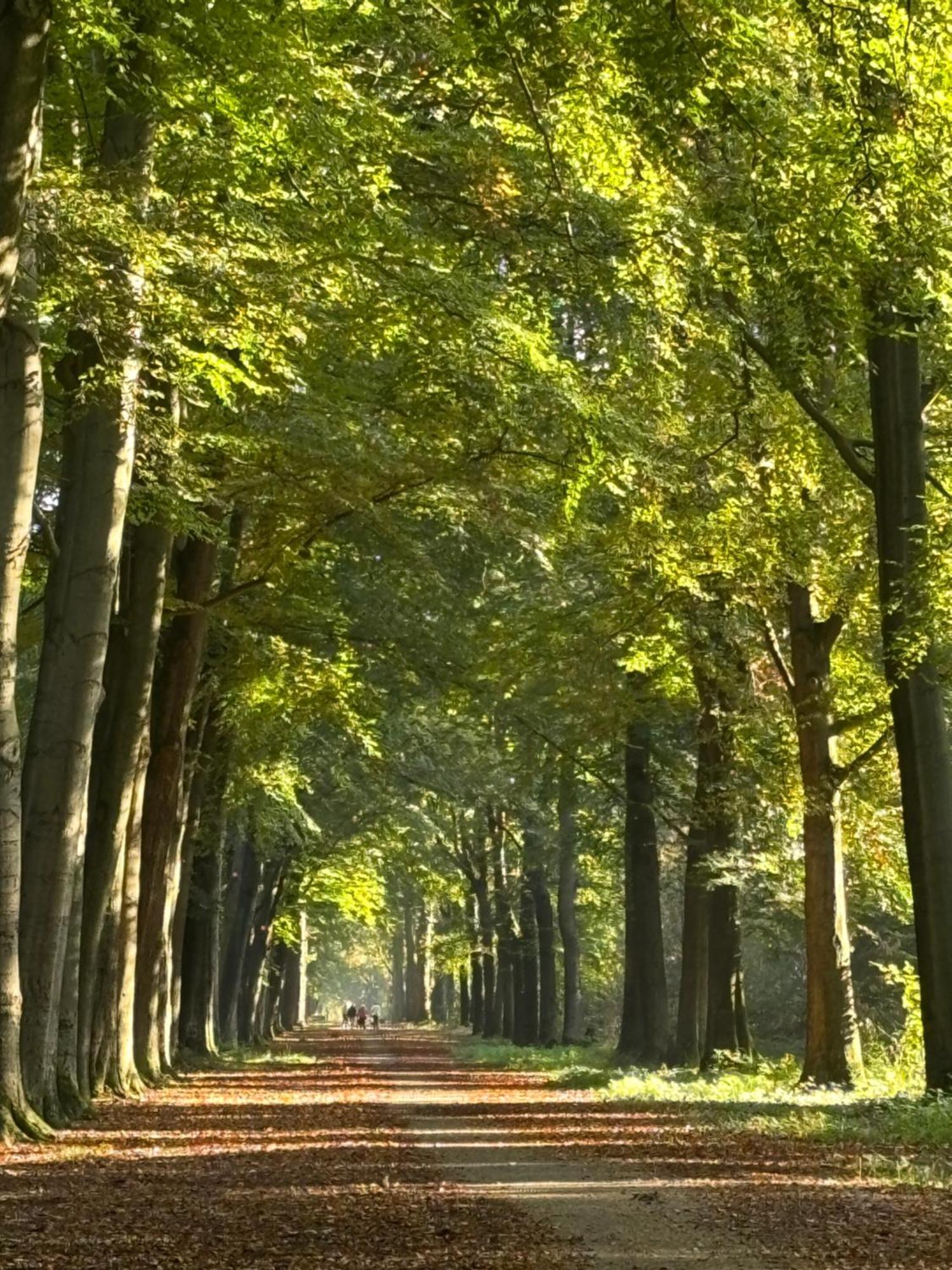 Vila Timeout-Breda Exteriér fotografie